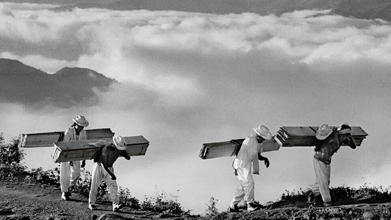 Sebastiao salgado 3